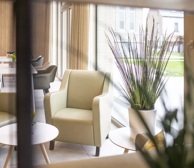 beige zeteltjes met salontafeltje en plant